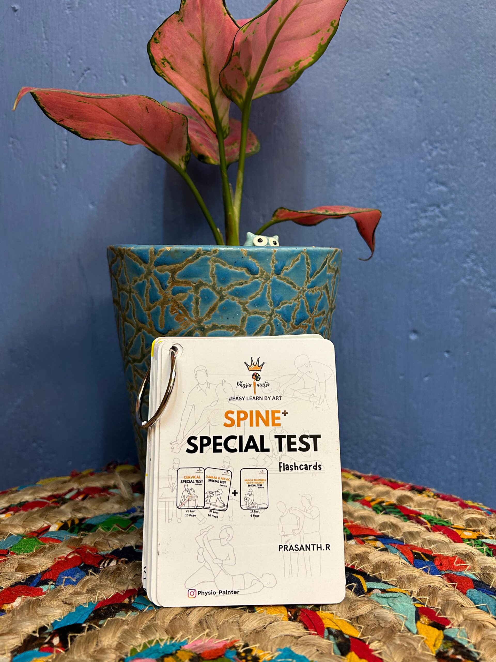 SPINE & MUSCLE LENGTH SPECIAL TEST FLASHCARDS (A7 โ 3x4 Inch) - Image 3
