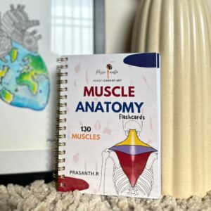 MUSCLE ANATOMY FLASHCARDS (A6 SIZE) 155 PAGES