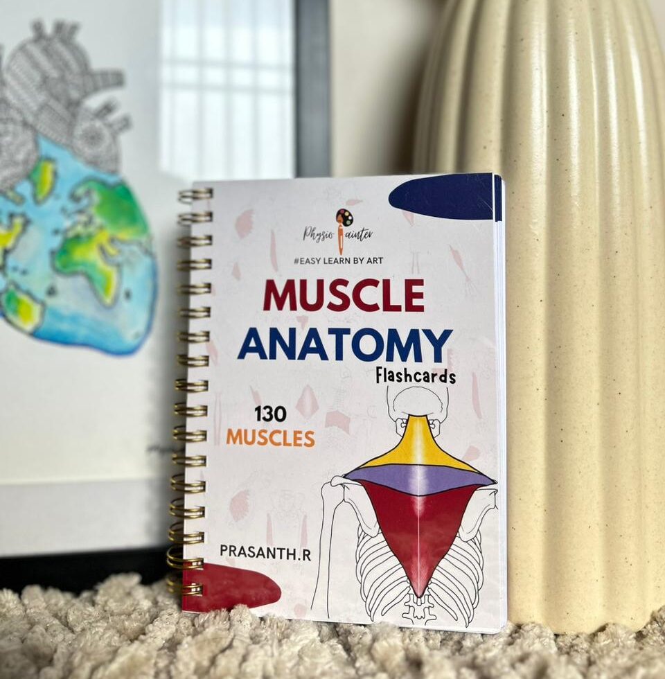 MUSCLE ANATOMY FLASHCARDS (A6 SIZE) 155 PAGES