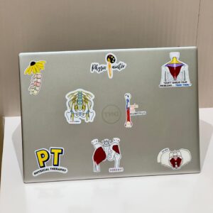 Premium Physio & Anatomy Vinyl Stickers Pack (15 Stickers)